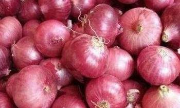 পেঁয়াজের ডাবল সেঞ্চুরী !