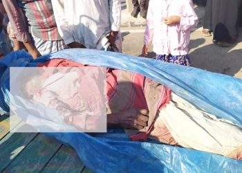 মেয়ের বাসায় বেড়াতে এসে প্রাণ গেলাে আহাম্মদ আলীর