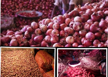 পেঁয়াজে আবারও অস্থিরতা ! নানা অজুহাত