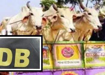 এবার ডিবি পরিচয় গরুভর্তি ট্রাক লুট