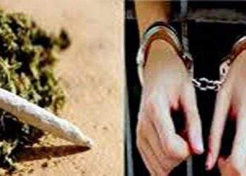 আড়াইহাজারে ৬০ কেজি গাঁজা উদ্ধার, আটক ৬