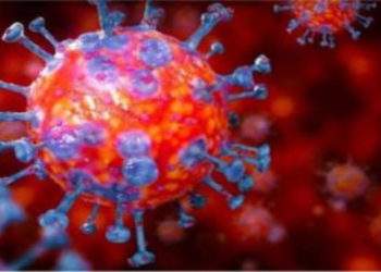 করোনা আতংকে প্রবাসী কে নিয়ে লঙ্কাকাণ্ড