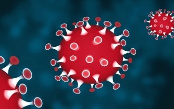 নারায়ণগঞ্জ থেকে ছেলে আসায় বাড়ি থেকে পালালেন বাবা-মা