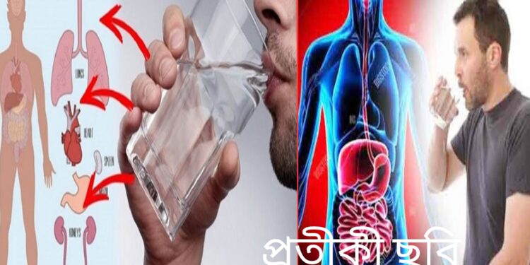 আড়াইহাজারে টিউবওয়েলে বিষ ! একই পরিবারের ৬ জন অসুস্থ