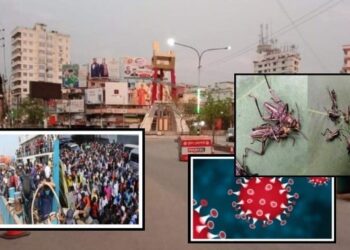 করোনাকালে নতুন আতংকের নাম পঙ্গপাল ও পোষাক শ্রমিক !