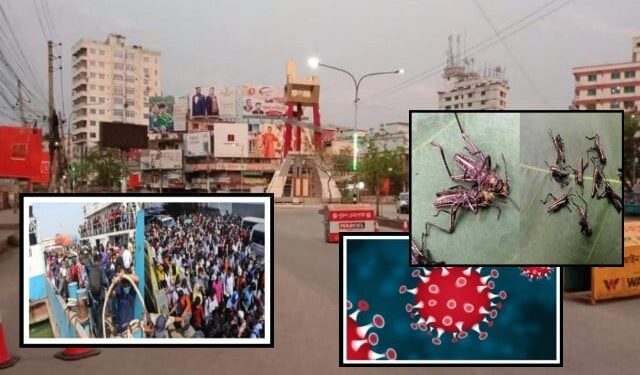 করোনাকালে নতুন আতংকের নাম পঙ্গপাল ও পোষাক শ্রমিক !