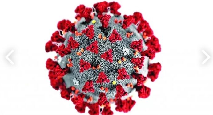 কোভিড-১৯ এর জীবন রক্ষাকারী প্রথম ওষুধ ডেক্সামেথাসোন : বিবিসি