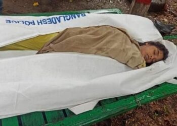 যৌতুকের দাবিতে গৃহবধূকে হত্যার অভিযোগ