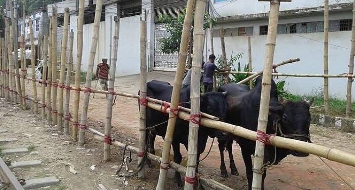 নারায়ণগঞ্জে হঠাৎ গরু শূন্য হাট