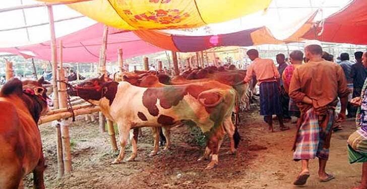 ঢাকা, নারায়ণগঞ্জ, গাজীপুর ও চট্টগ্রামে পশুর হাট নয়