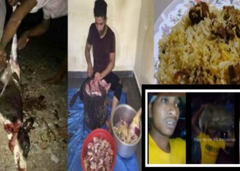 ফতুল্লার হোটেলগুলোতে কুকুরের মাংস ! চরম উত্তেজনা