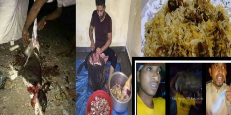 ফতুল্লার হোটেলগুলোতে কুকুরের মাংস ! চরম উত্তেজনা