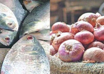ইলিশ – পিয়াজের মাখামাখিতে সুস্বাদুর পরিবর্তে তিক্ততা !
