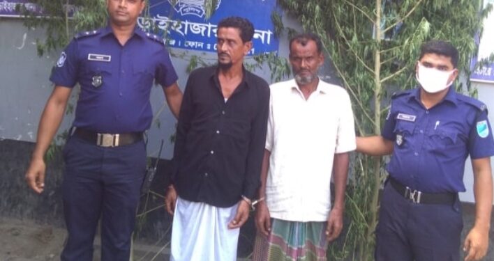 আড়াইহাজারে বাড়ির আংগিনায় গাঁজার চাষ !