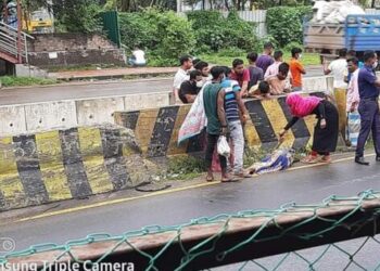 সোনারগাঁয়ে সড়ক দূর্ঘটনায় বৃদ্ধার মৃত্যু