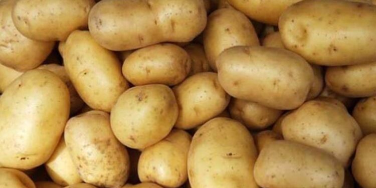 আলুর দাম ঠেকেছে ৬০ টাকায়