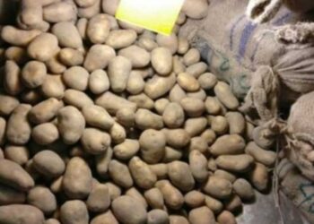খুচরা আলু বিক্রি করতে হবে ৩০ টাকায়