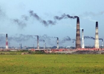 নারায়ণগঞ্জে অবৈধ ইটাভাটায় পরিবেশের ধ্বংসলীলা চলছেই !