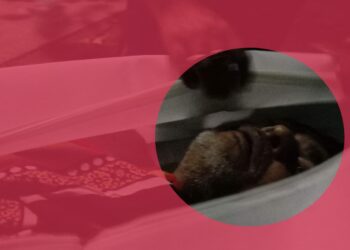 নারায়ণগঞ্জে ভাড়ার জন্য ভাড়াটিয়া খুন !