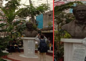 শহরের বঙ্গবন্ধু সড়কে সবুজে ঘেরা ‘বঙ্গবন্ধু চত্ত্বর’