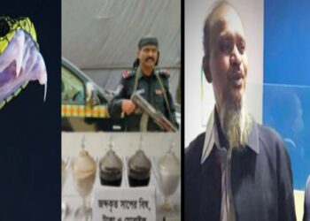 এবার নারায়ণগঞ্জে ৭০ কোটি টাকার সাপের বিষ !