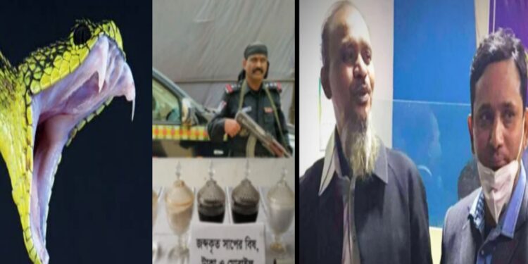 এবার নারায়ণগঞ্জে ৭০ কোটি টাকার সাপের বিষ !