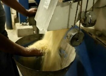 মিনিকেট চাল : এক ফাঁকির নাম