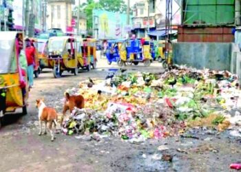 ফতুল্লার ময়লার বিষয়ে ব্যবস্থার নির্দেশ আদালতের