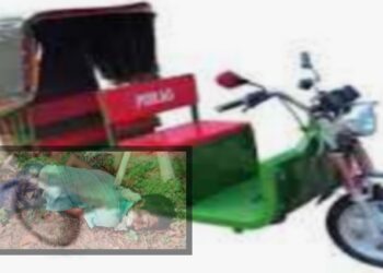 আড়াইহাজারে চালক খুন, অটো ছিনতাই