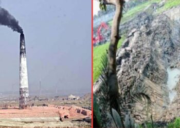 বন্দরে ফসলি জমির মাটি যাচ্ছে অবৈধ ইটভাটায়