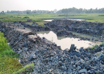 আড়াইহাজারে ধানের জমি কেটে জোড়পূর্বক পুকুর খনন !