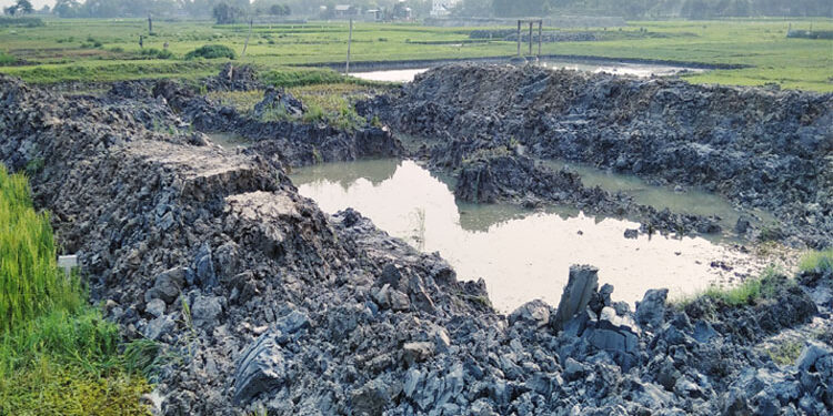 আড়াইহাজারে ধানের জমি কেটে জোড়পূর্বক পুকুর খনন !