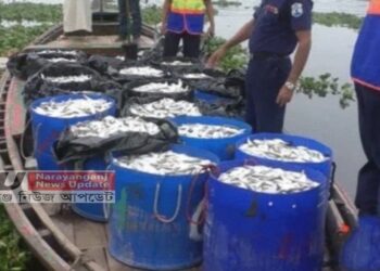 নারায়ণগঞ্জে প্রবেশ পথে ৬ হাজার কেজি জাটকা আটক !