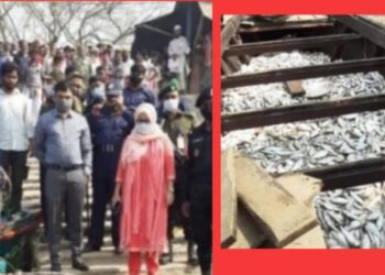 বন্দরে ১০ মন জাটকা ইলিশ জব্দ