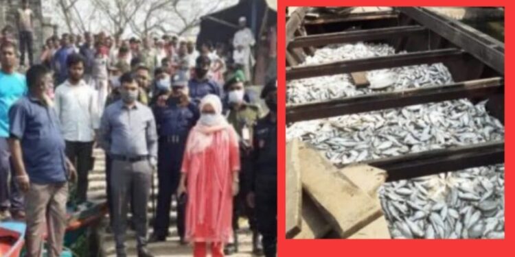 বন্দরে ১০ মন জাটকা ইলিশ জব্দ