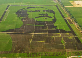 গিনেজ বুকে স্থান পেল ‘শস্যচিত্রে বঙ্গবন্ধু’