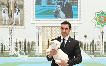 কুকুরের সরকারি ছুটি