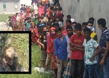 ফতুল্লায় অজ্ঞাত নারীর মাথা উদ্ধার