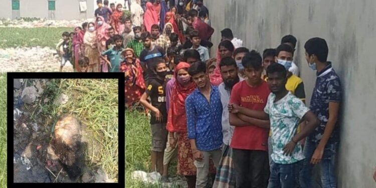 ফতুল্লায় অজ্ঞাত নারীর মাথা উদ্ধার