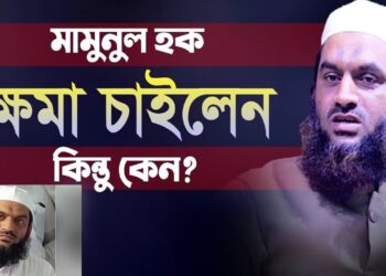 হাতজোড় করে ক্ষমা চাইলেন মামুনুল হক