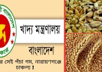 আবার সেই পঁচা গম ! নারায়ণগঞ্জে চাঞ্চল্য