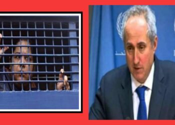 রোজিনা ইসলামকে হেনস্তা ও গ্রেপ্তার উদ্বেগজনক : জাতিসংঘ