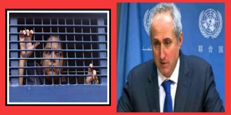 রোজিনা ইসলামকে হেনস্তা ও গ্রেপ্তার উদ্বেগজনক : জাতিসংঘ