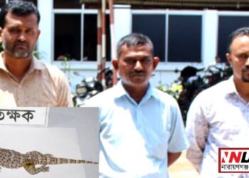তক্ষকসহ ৩ পাচারকারী গ্রেফতার