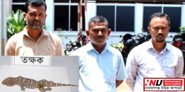 তক্ষকসহ ৩ পাচারকারী গ্রেফতার