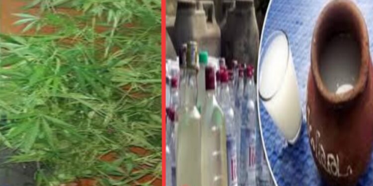 গাঁজা গাছ ও মদসহ রূপগঞ্জে গ্রেফতার ২