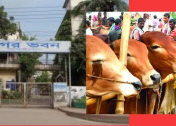 নাসিক’র পশুর হাটের ইজারা সম্পন্ন