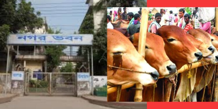 নাসিক’র পশুর হাটের ইজারা সম্পন্ন