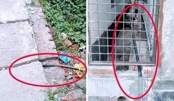 বন্দরে চলছে ইসলাম ও নিজামের গ্যাস সংযোগ বাণিজ্য !