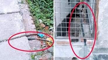 বন্দরে চলছে ইসলাম ও নিজামের গ্যাস সংযোগ বাণিজ্য !